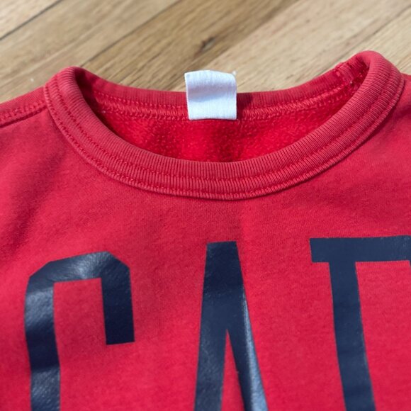 GAP Kids Sweatshirts (Size 3Y) – Great Condition - Picture 6 of 7